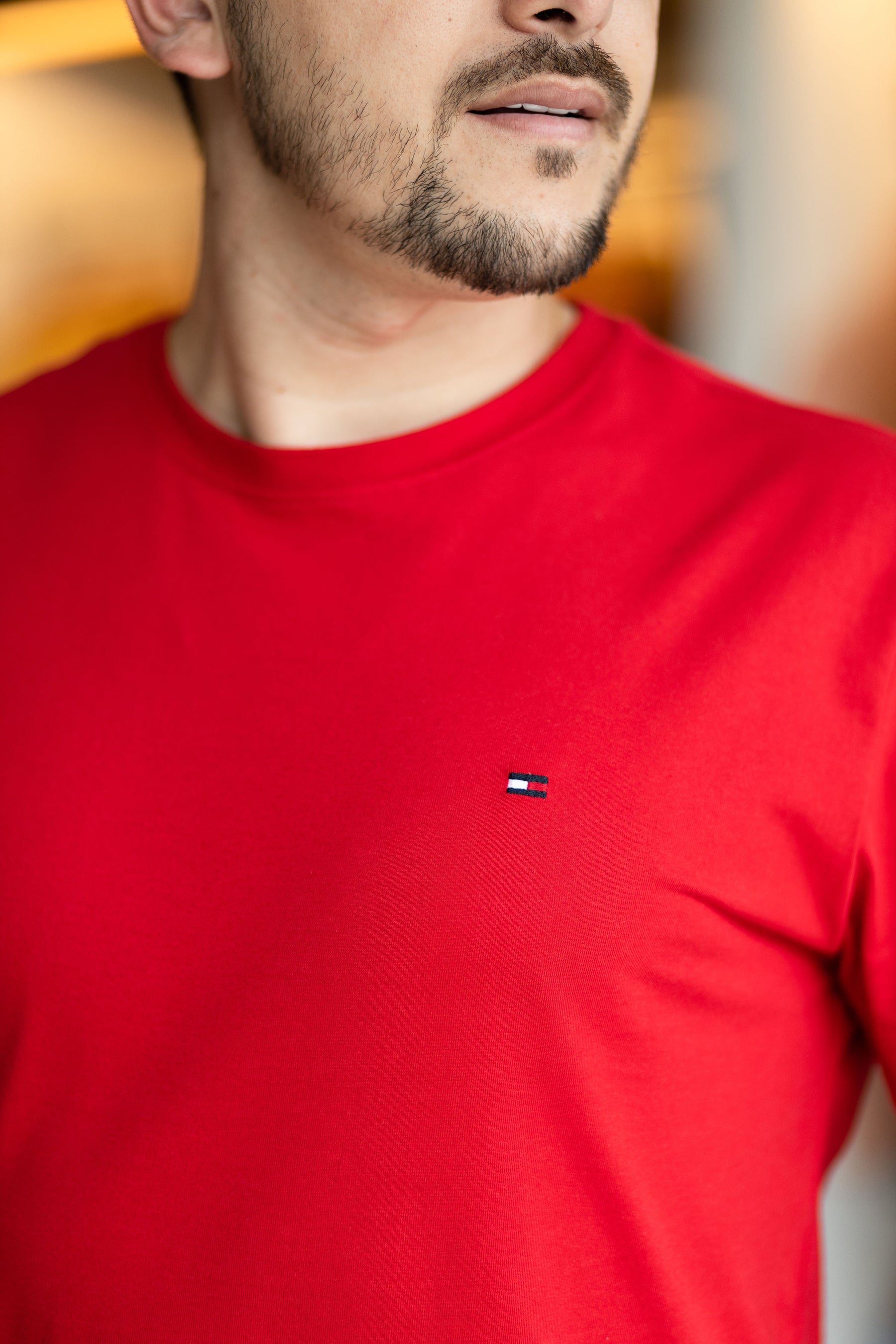T-Shirt Tommy Hilfiger Basica